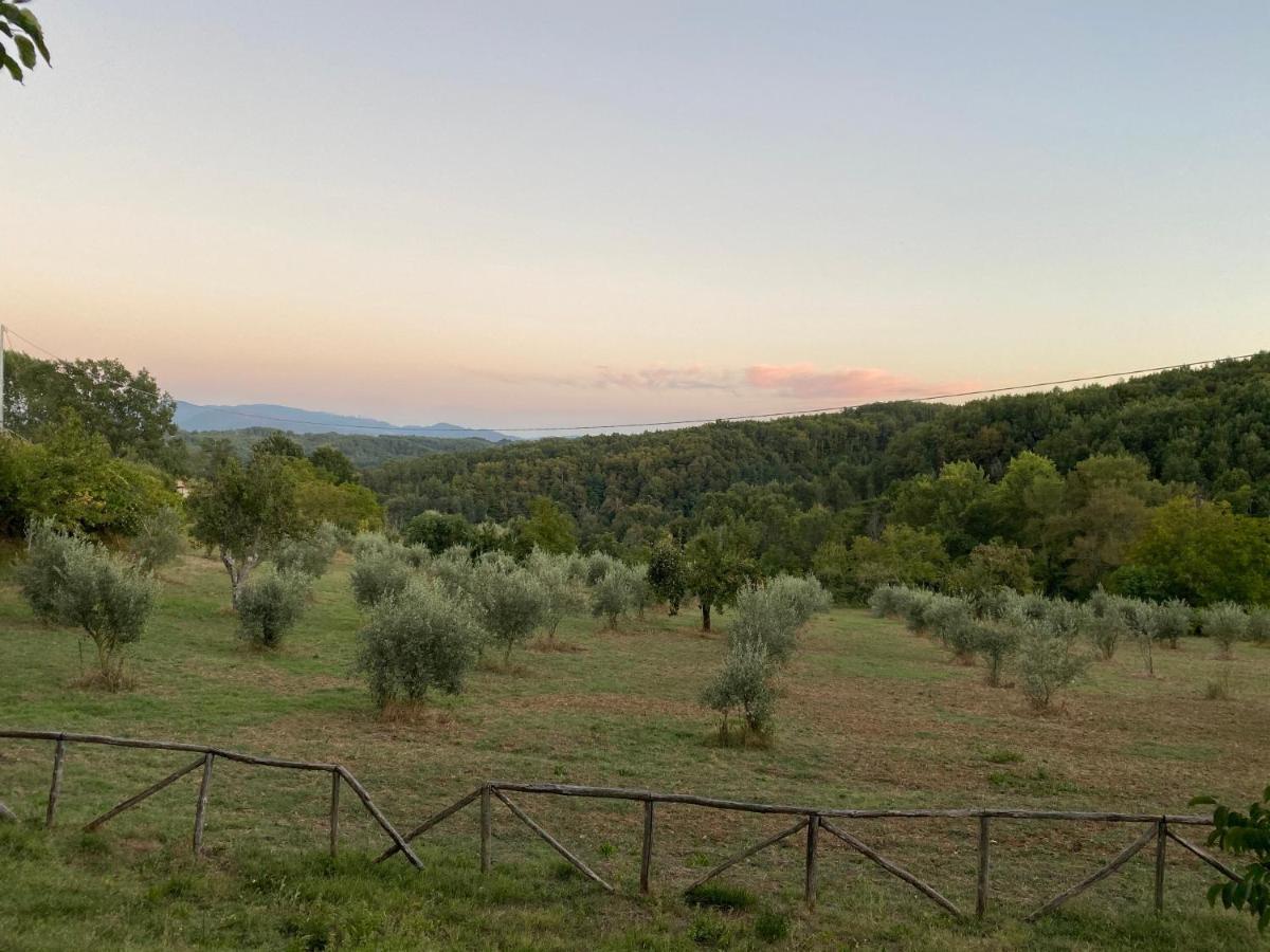 Agriturismo Borgo Serafino Mangone  Eksteriør billede